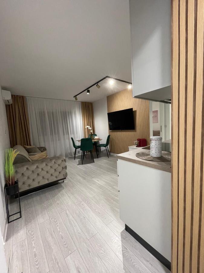 Oxana Apartments - 3 Camere - Τιμισοάρα Εξωτερικό φωτογραφία