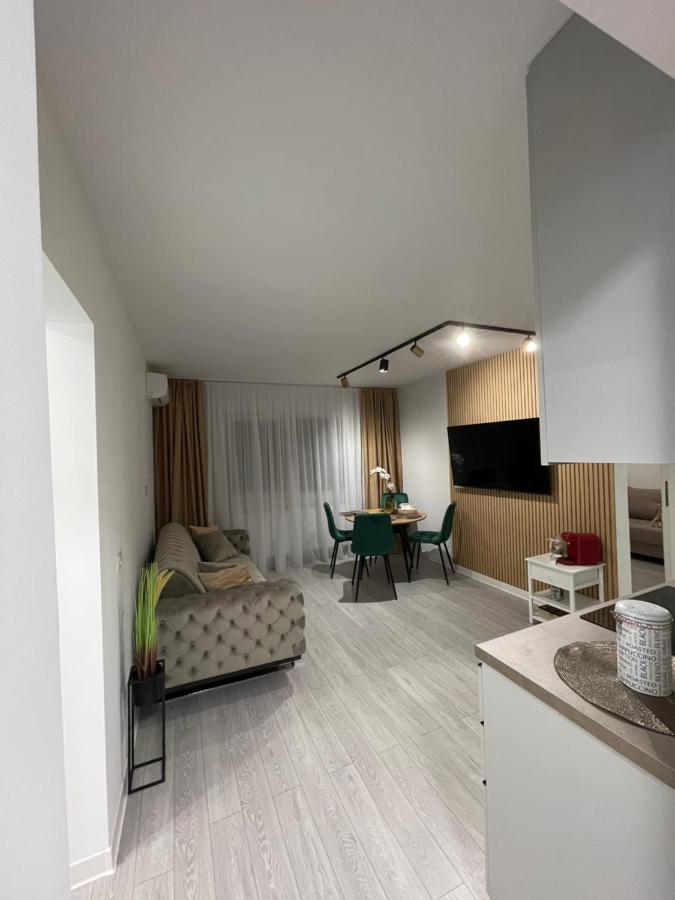 Oxana Apartments - 3 Camere - Τιμισοάρα Εξωτερικό φωτογραφία