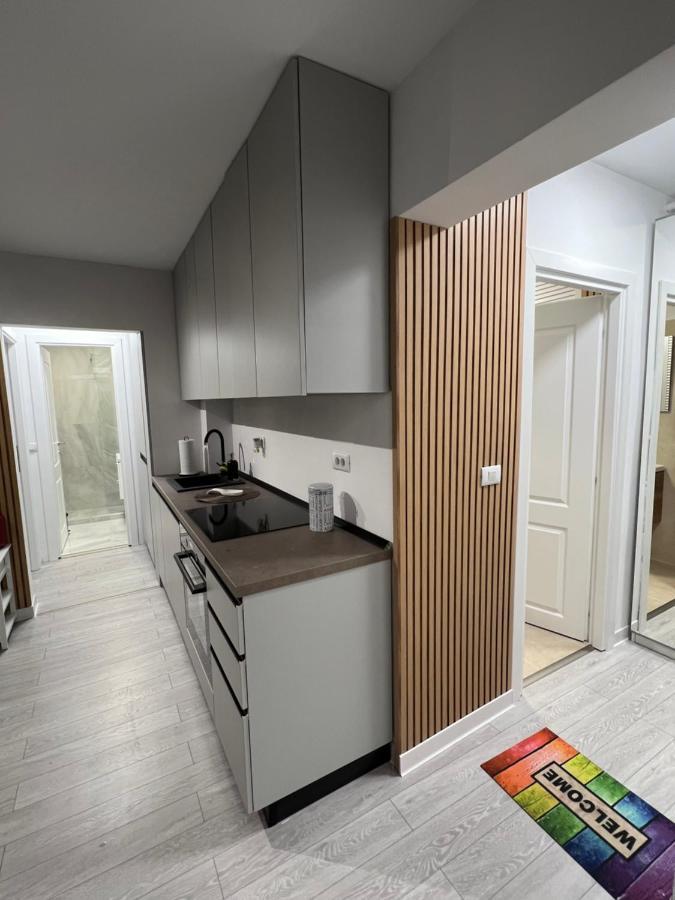 Oxana Apartments - 3 Camere - Τιμισοάρα Εξωτερικό φωτογραφία