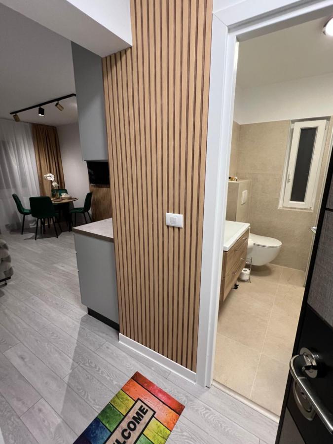 Oxana Apartments - 3 Camere - Τιμισοάρα Εξωτερικό φωτογραφία
