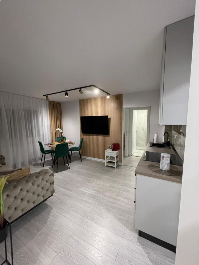 Oxana Apartments - 3 Camere - Τιμισοάρα Εξωτερικό φωτογραφία