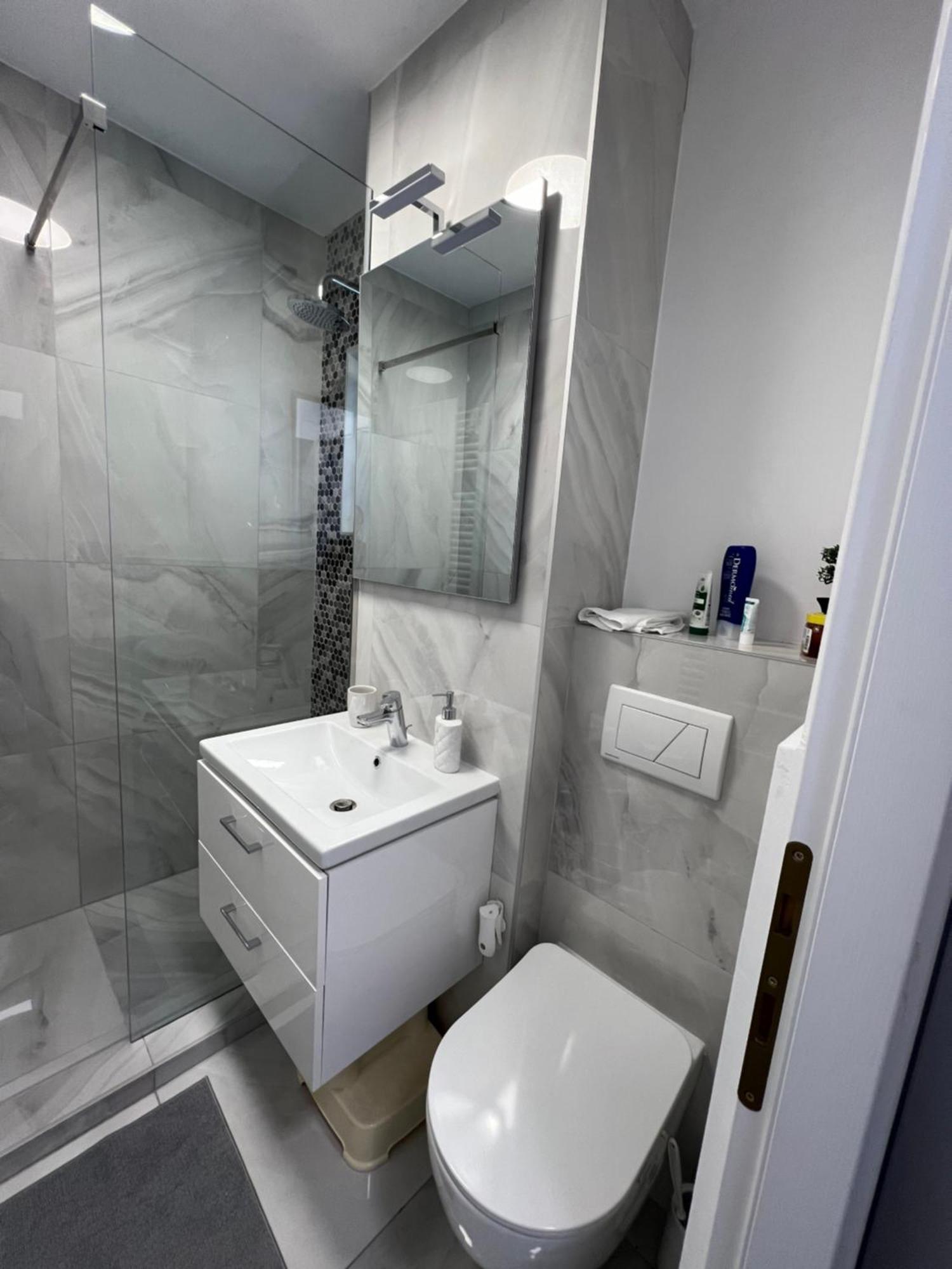 Oxana Apartments - 3 Camere - Τιμισοάρα Εξωτερικό φωτογραφία